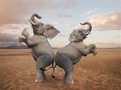 The Dancing Elephants – A Monumental Fusion of Myth and Materiality!