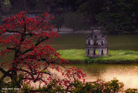 The Sage's Lament: A Vivid Exploration of Introspection and Tranquility in Vietnamese Art